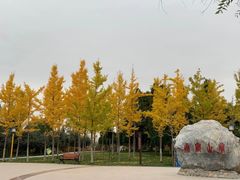 -兰山公园