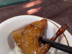 -东鸽皇(奥园·中环广场店)