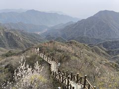 -大岭沟猕猴桃谷风景区