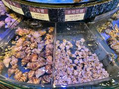 -金悦轩海鲜城(渔人码头店)