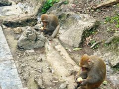 -黔灵山公园