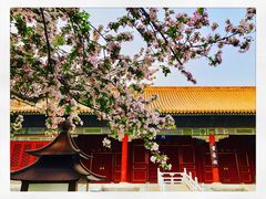 -故宫博物院(故宫)