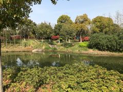 -尚贤河湿地