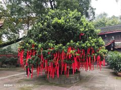-峨眉山报国寺