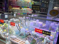 -武汉花鸟市场