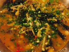 -老号尤兔头(幸福店)