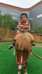 -萌宠亲子动物乐园(槐房万达店)