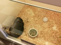 -龙猫仔乐园(惠福东路店)