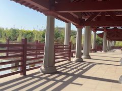 -洛阳古墓博物馆