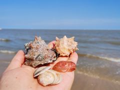 -银滩滨海旅游度假区