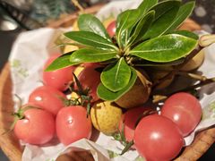 -季季山·云南野生菌火锅(上海首店)