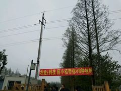 -前小桔亲子创意农场·草莓采摘·露营烧烤