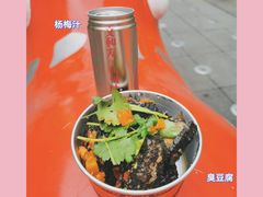 -董顺桃老长沙臭豆腐(步行街店)
