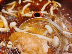 气锅真菌-宋宴(虎跑店)
