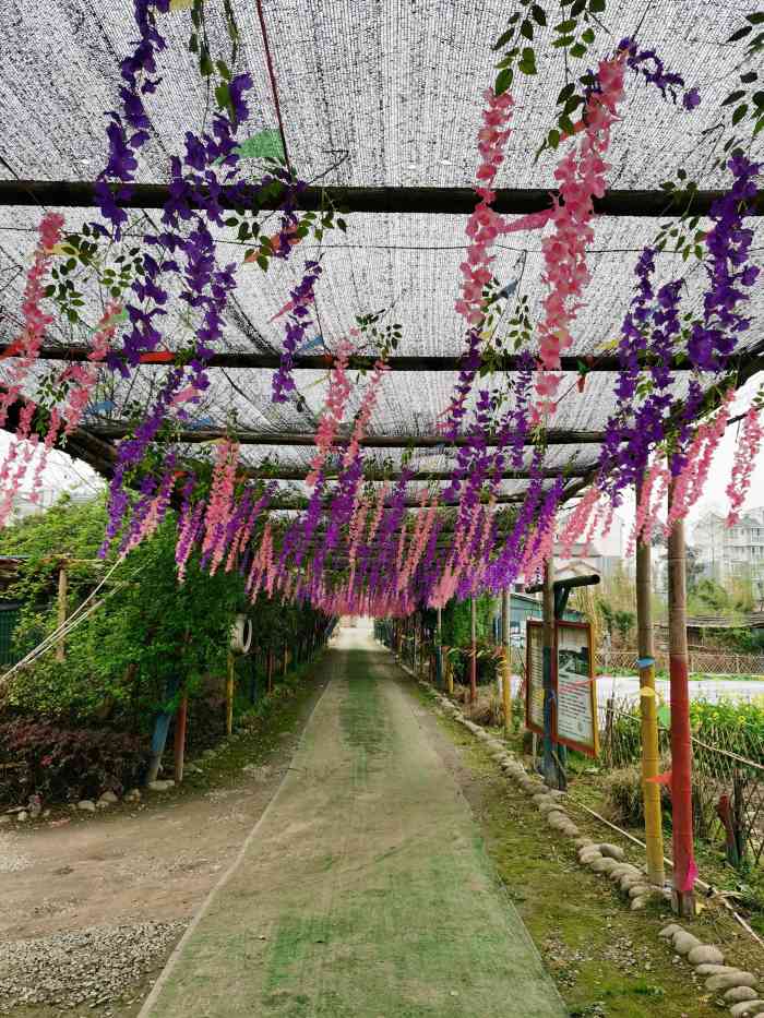 蕃米创意农场-"在三道堰,网上团购的29.9的门票可以."-大众点评移动版