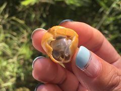 -龙坑生态保护区