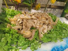 -川骄海鲜自助(河东店)