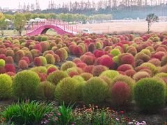 -嘉北郊野公园