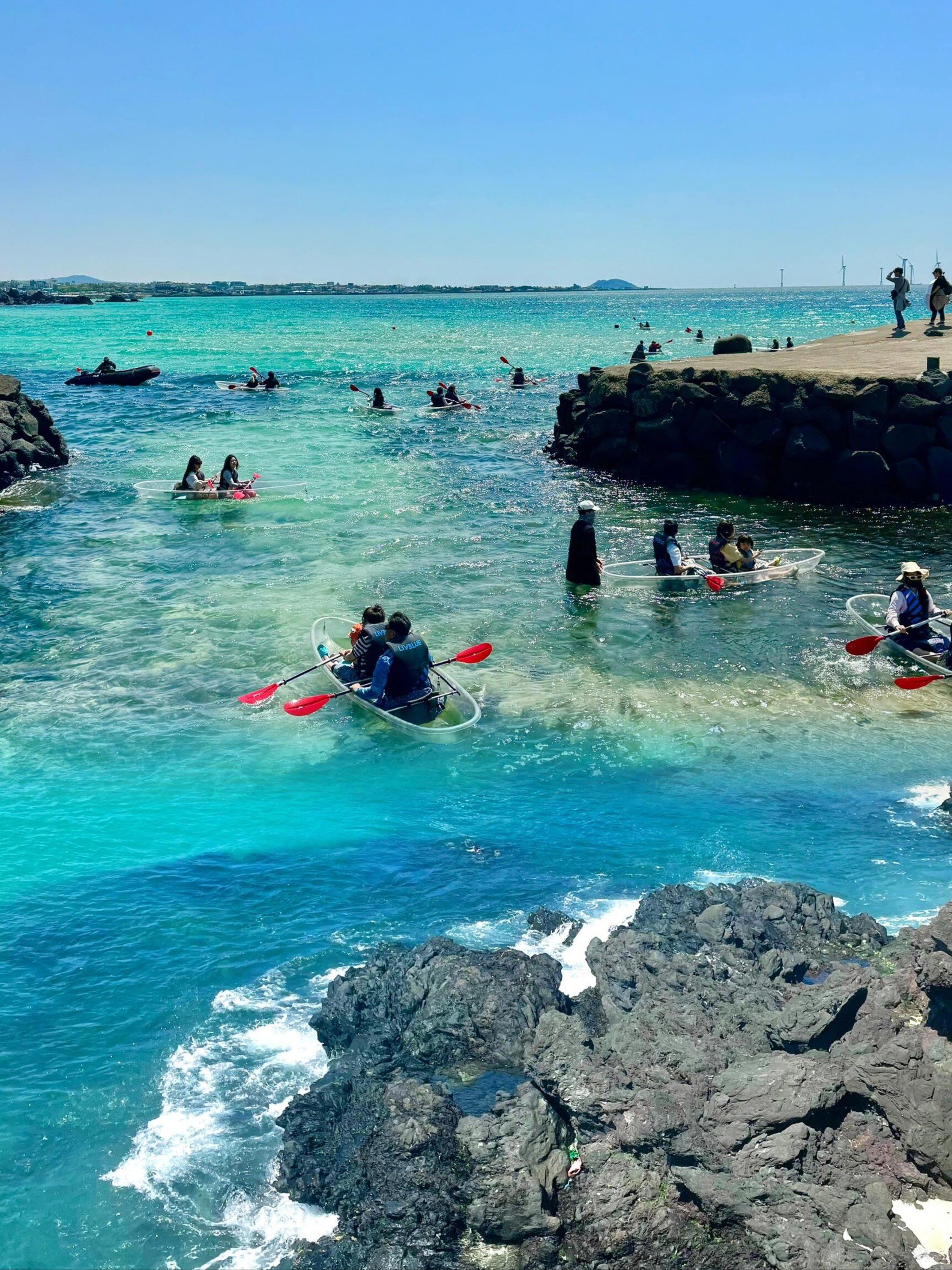 99济州岛||韩国的夏威夷 ,后悔没早点来