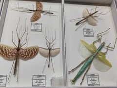 -烟台市博物馆
