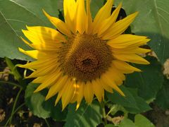 景点-长白岛森林公园