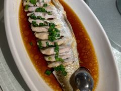 -金美华轩(东方路齐鲁店)