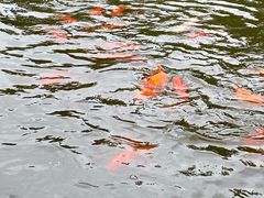 -济南马套将军山