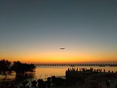 -宝安西湾红树林湿地公园