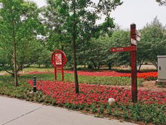 -廊坊市自然公园