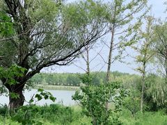 -野鸭湖国家湿地公园