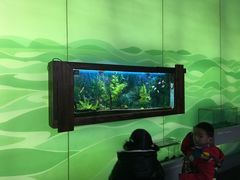 -中国湿地博物馆