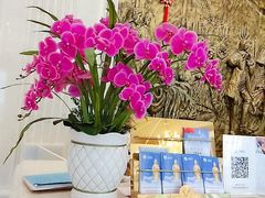 -维也纳国际酒店·宁波鄞州南部商务区罗蒙环球城店