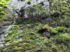 -南靖田螺坑土楼群景区