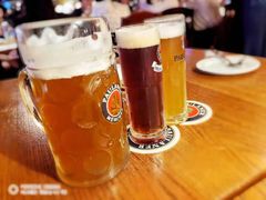 -宝莱纳啤酒花园餐厅PAULANER BRAUHAUS Nanjing(广州路店)