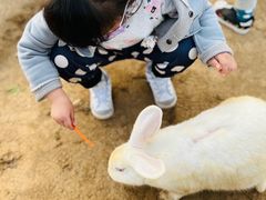 -前小桔亲子创意农场·草莓采摘·露营烧烤