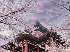 -西安青龙寺遗址景区