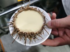 -海胆小馆(东北水饺·春柳店)