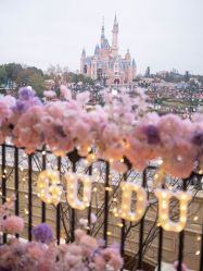 -迈瑞米求婚策划(静安店)