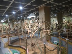 -七巧国萌宠乐园(龙湖天街店)