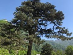 -秦岭终南山世界地质公园翠华山景区