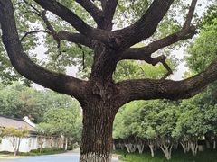 -范蠡湖公园