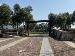 -春花秋色城市公园