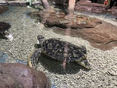 -杭州长乔极地海洋公园