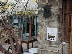 -喵屿·大理花园猫咖