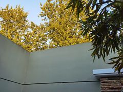 -春晖园度假酒店温泉