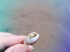 -青岛西海岸隆和福朋喜来登酒店