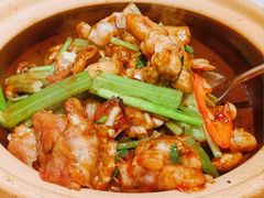 啫啫牛蛙煲-粤来记·啫啫煲·点心(日月光店)