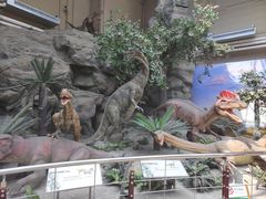 -国家自然博物馆