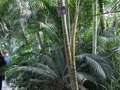 -郑州植物园