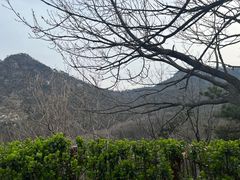 -沂蒙山旅游区云蒙景区(蒙山国家森林公园)